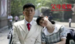 父母爱情电视剧全集,岁月流转中的家庭温情画卷