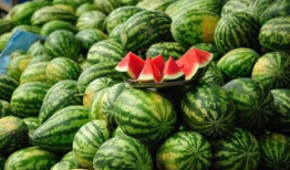 淮北爆料吃瓜事件真相,揭秘背后真相与真相背后的真相