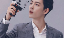 吃瓜爆料肖战粉丝告白,瓜田里的青春誓言